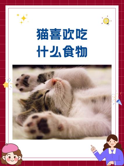 猫咪喜欢干什么