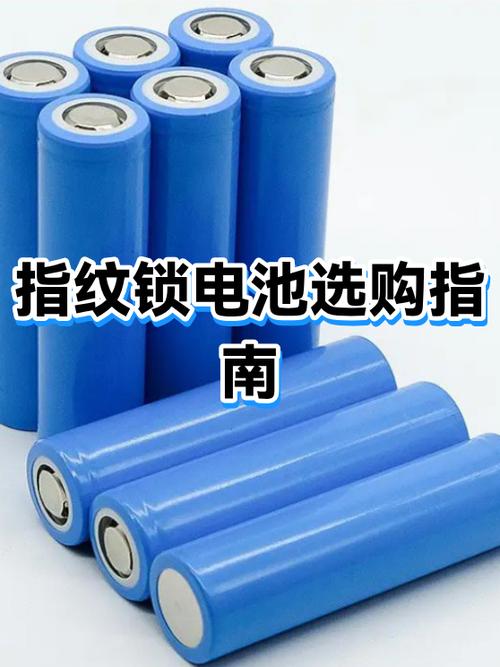 指纹锁电池好还是充电的好