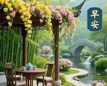 云鬓欢颜寂月皎皎缩略图