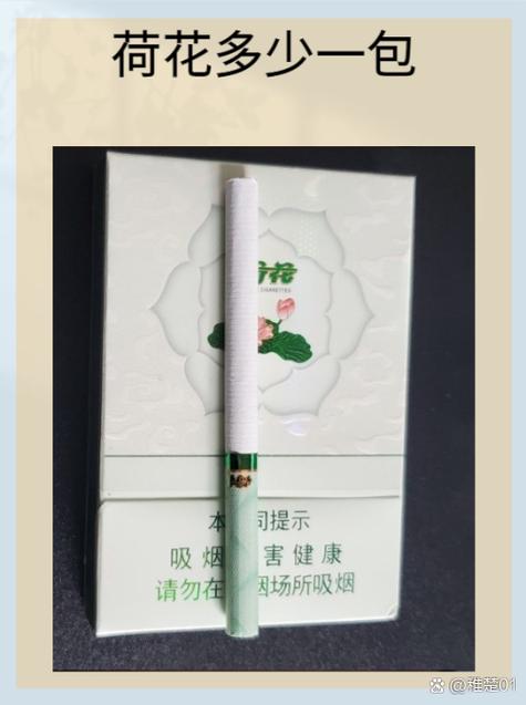 中支荷花多少钱一包图片