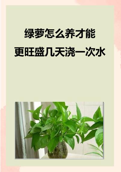 绿萝旺盛什么兆头