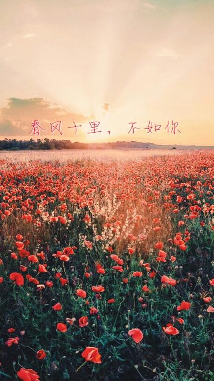 春风十里歌曲表达什么意思缩略图