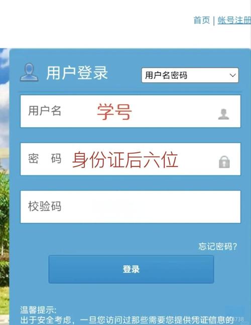 高中生学号怎么查询