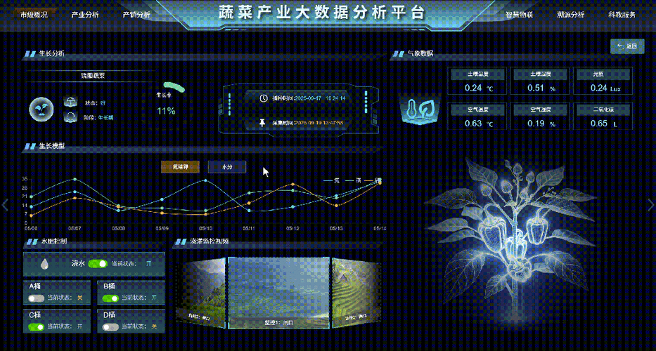 可视化开发