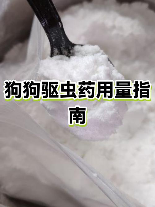 狗狗多久需要驱虫一次