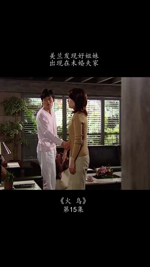 火鸟中文版
