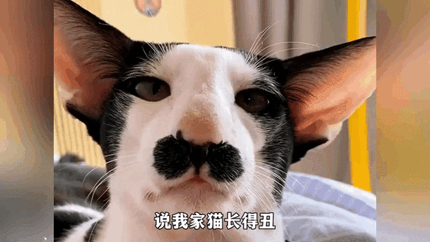 我太过于潦草于结果