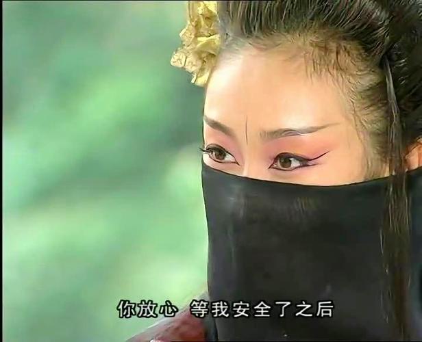 大醉侠花弄影为什么恨惠帝
