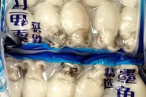 小目鱼是墨鱼仔吗