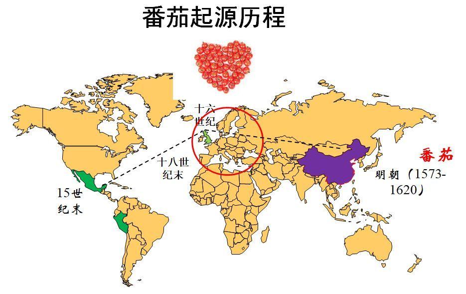 番茄起源于