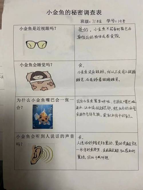 调查队是什么单位