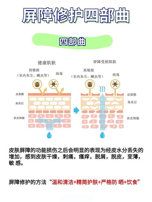 修复皮肤屏障最好的方法