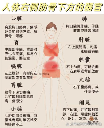 右侧疼痛要警惕的三种病症图标