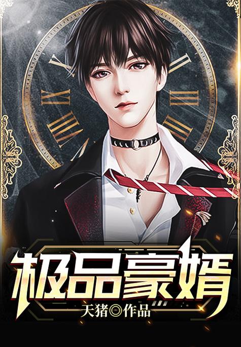疯狂阅读豪婿