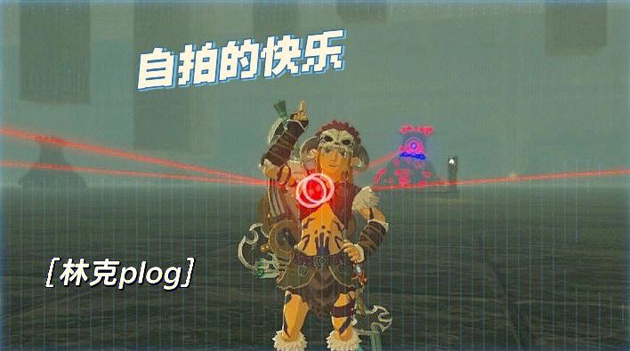 塞尔达传说自拍怎么做动作