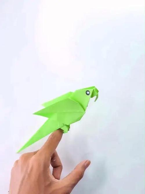 折纸会站在手上的鹦鹉