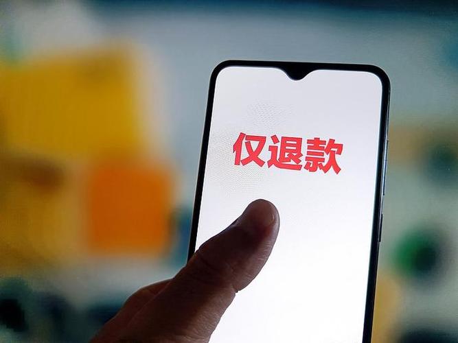 平台介入退款商家却要求退回