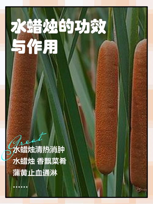 水蜡烛怎么合成