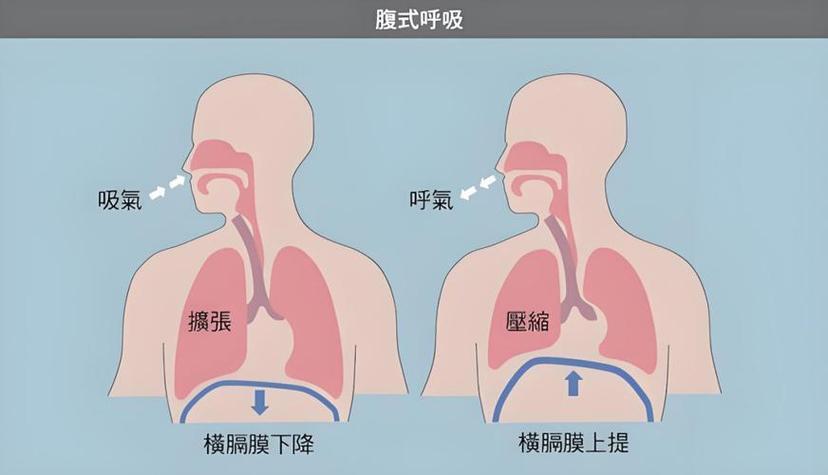 人能边说话边呼吸吗