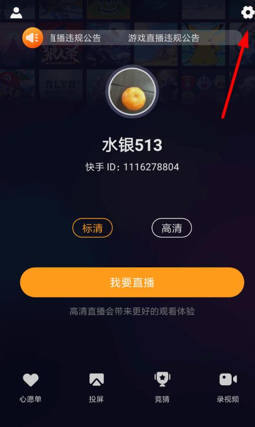 苹果手机快手伴侣悬浮窗