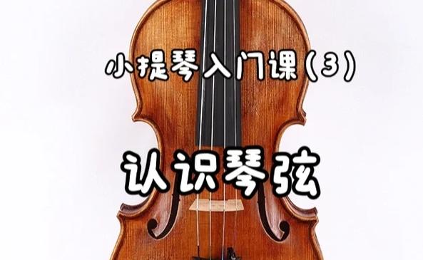 小提琴弦放了6年还能用吗