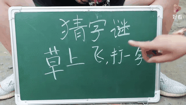 草上飞猜字谜游戏截图