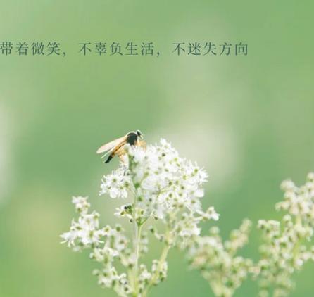 微分享发圈