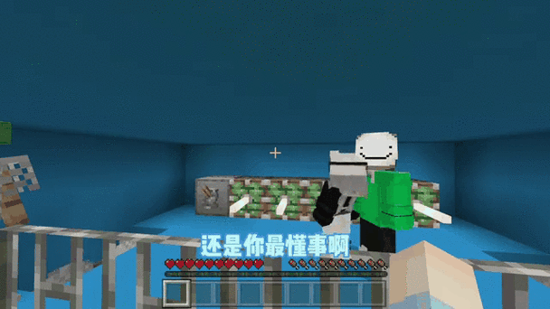 我的世界变性别记缩略图