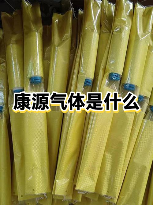 康源是什么意思