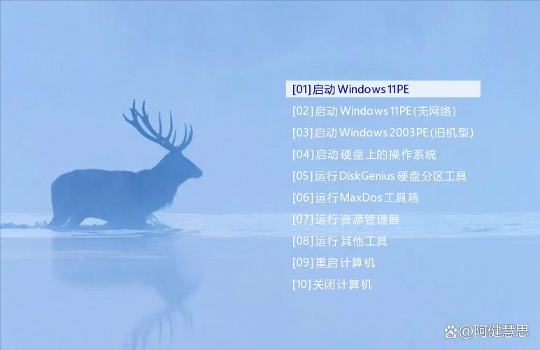 FirPE-V.9.1.img镜像