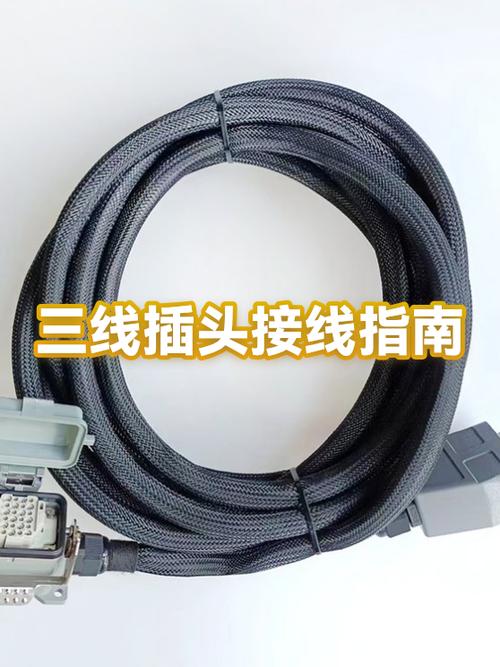三条线的插头怎么接