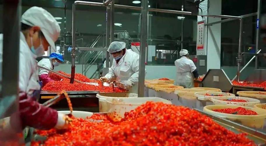 火辣辣湖南教育app官方下载最新版图标