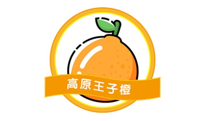 王子橙百度百科游戏截图