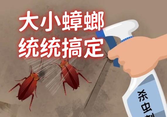 蟑螂怎么来的家里