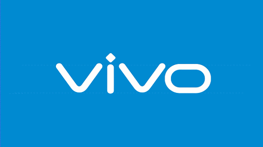 vivo的中文