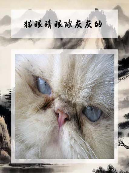 整人专家游戏棋无广告正版蓝色旧版无广告游戏截图