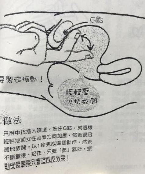 排精的方法有哪些