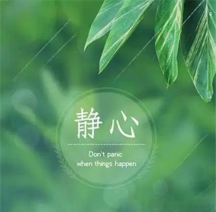 简单平静的生活是什么样子的