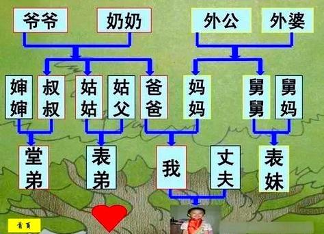 太奶奶再往上一个辈分叫什么