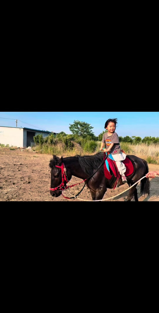 骑小马游戏