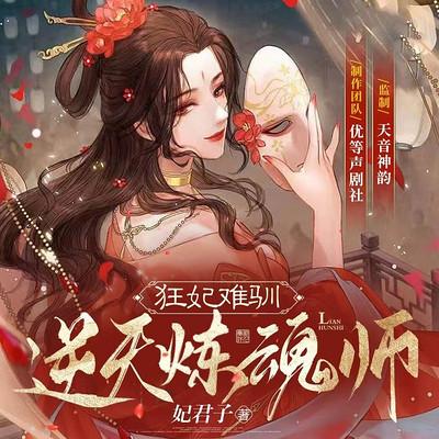 逆天炼魂师