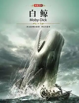白鲸小说简介