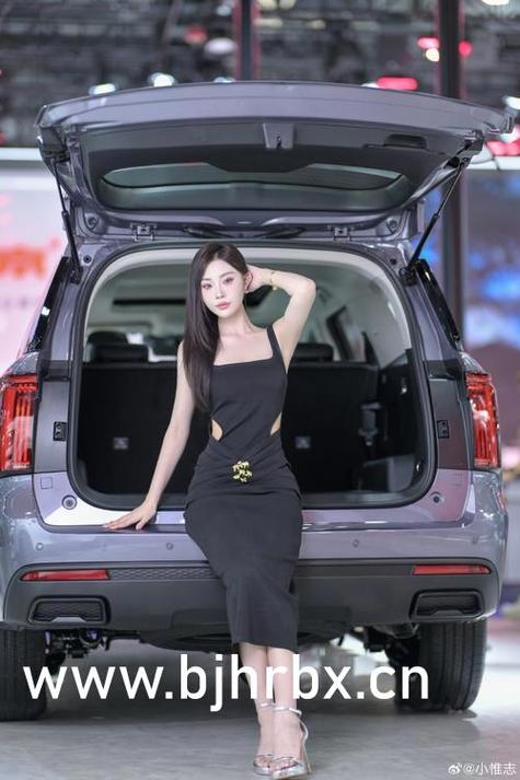 贵宠娇女好看吗