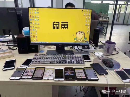 闲鱼只能挂50个出售的链接吗
