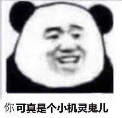 小机灵鬼的特点