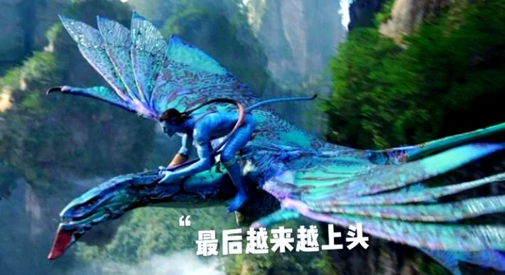阿凡达10图标