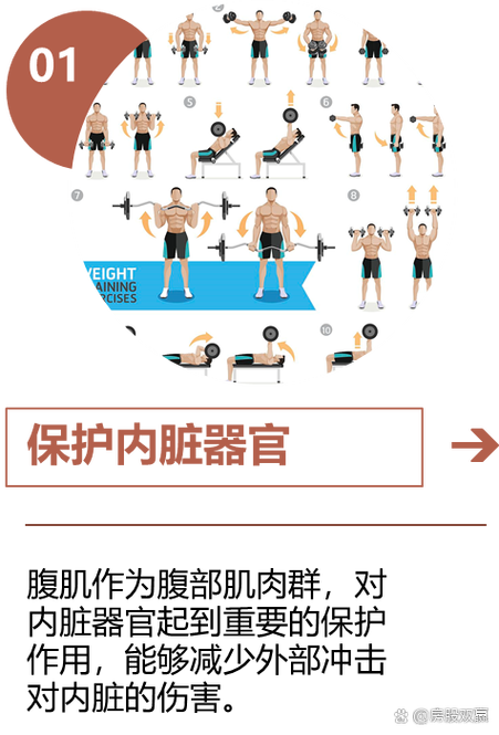 练腹肌的坏处