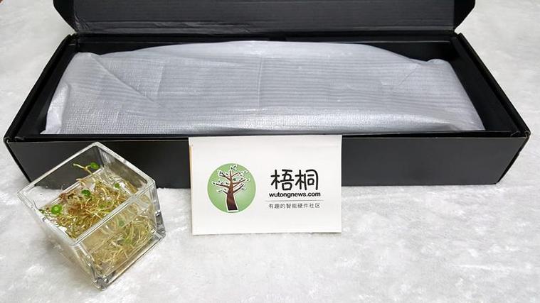 一千零梧桐匣子