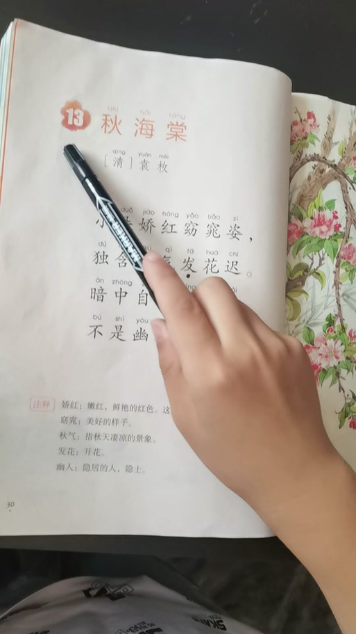 《海棠》带拼音原文