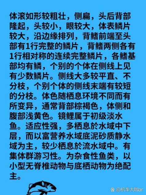 鱼鳞的营养价值和功效与禁忌